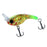 HISTOLURE CRANK TROUT