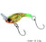 HISTOLURE CRANK TROUT